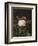 A Maria Larpin Rose-Otto Didrik Ottesen-Framed Giclee Print