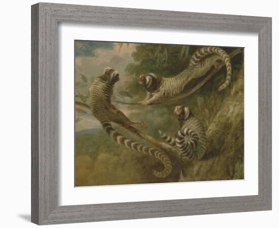 A Marmoset in Three Attitudes, 1793-George Garrard-Framed Giclee Print