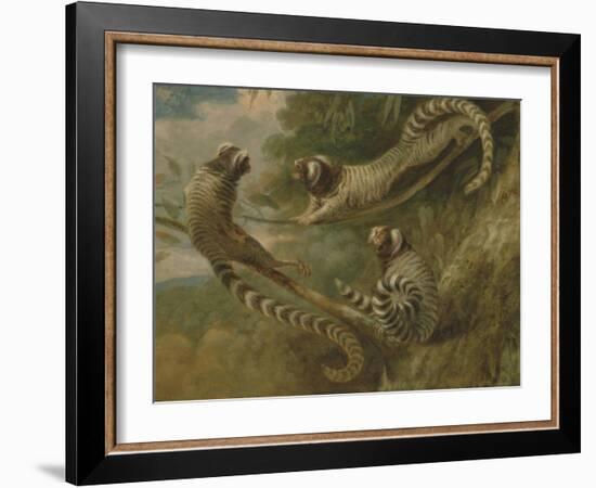 A Marmoset in Three Attitudes, 1793-George Garrard-Framed Giclee Print