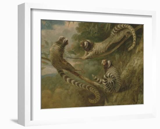 A Marmoset in Three Attitudes, 1793-George Garrard-Framed Giclee Print