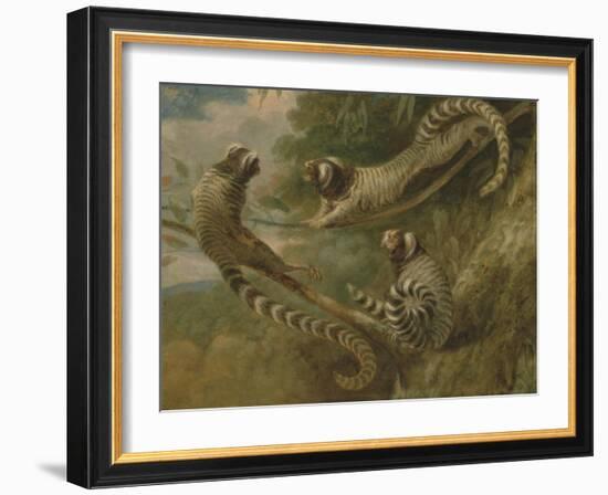 A Marmoset in Three Attitudes, 1793-George Garrard-Framed Giclee Print