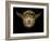 A Mask, circa 1897-Fernand Khnopff-Framed Giclee Print