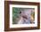 A Masked Laughing Thrush in Kowloon Park, Hong Kong-Richard Wright-Framed Photographic Print