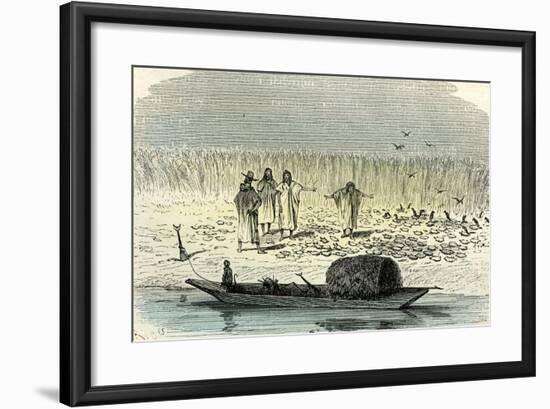 A Massacre of Turtles 1869, Peru-null-Framed Giclee Print