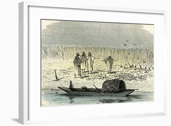 A Massacre of Turtles 1869, Peru-null-Framed Giclee Print