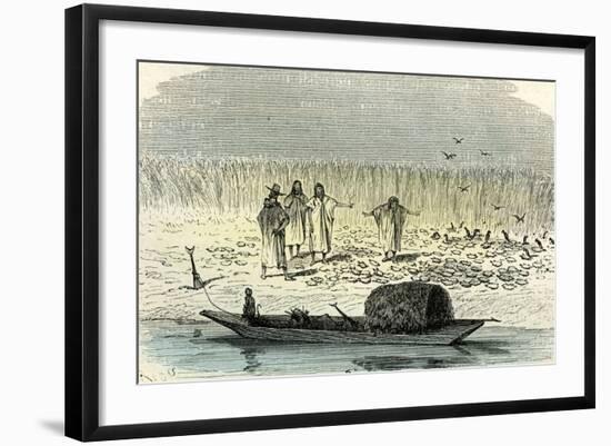 A Massacre of Turtles 1869, Peru-null-Framed Giclee Print