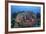 A Massive Barrel Sponge Grows on a Healthy Coral Reef-Stocktrek Images-Framed Photographic Print