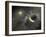 A Massive Collision of Objects Smashed Together to Create the Dust Ring Around the Nearby Star Vega-Stocktrek Images-Framed Photographic Print