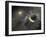 A Massive Collision of Objects Smashed Together to Create the Dust Ring Around the Nearby Star Vega-Stocktrek Images-Framed Photographic Print