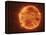 A Massive Red Dwarf Consuming Planets Within it's Range-Stocktrek Images-Framed Premier Image Canvas