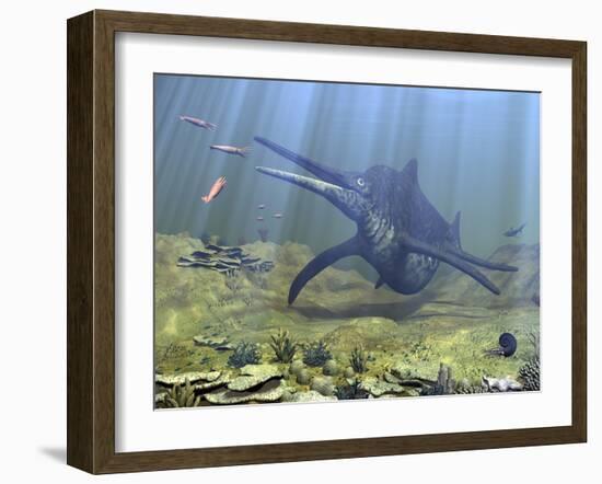 A Massive Shonisaurus Attempts to Make a Meal of a School of Squid-Like Belemnites-Stocktrek Images-Framed Photographic Print