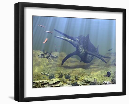 A Massive Shonisaurus Attempts to Make a Meal of a School of Squid-Like Belemnites-Stocktrek Images-Framed Photographic Print