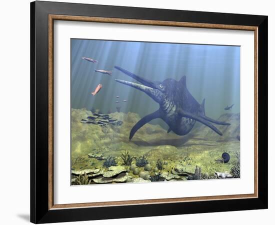 A Massive Shonisaurus Attempts to Make a Meal of a School of Squid-Like Belemnites-Stocktrek Images-Framed Photographic Print