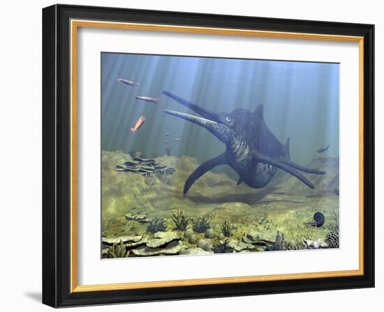 A Massive Shonisaurus Attempts to Make a Meal of a School of Squid-Like Belemnites-Stocktrek Images-Framed Photographic Print