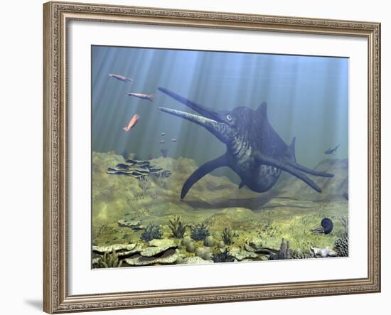 A Massive Shonisaurus Attempts to Make a Meal of a School of Squid-Like Belemnites-Stocktrek Images-Framed Photographic Print