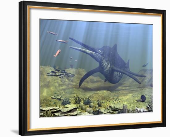 A Massive Shonisaurus Attempts to Make a Meal of a School of Squid-Like Belemnites-Stocktrek Images-Framed Photographic Print