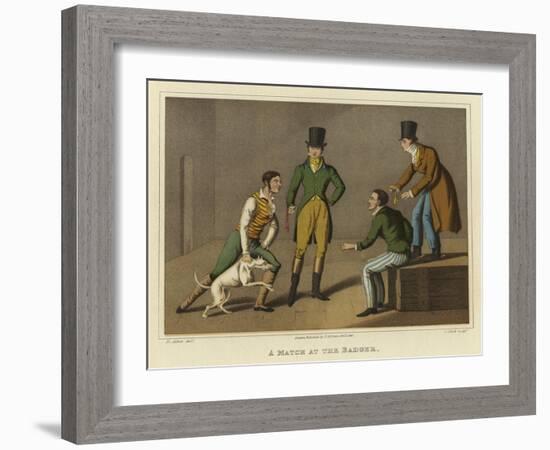 A Match at the Badger-Henry Thomas Alken-Framed Giclee Print