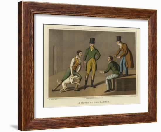 A Match at the Badger-Henry Thomas Alken-Framed Giclee Print