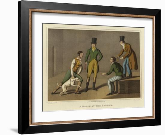 A Match at the Badger-Henry Thomas Alken-Framed Giclee Print