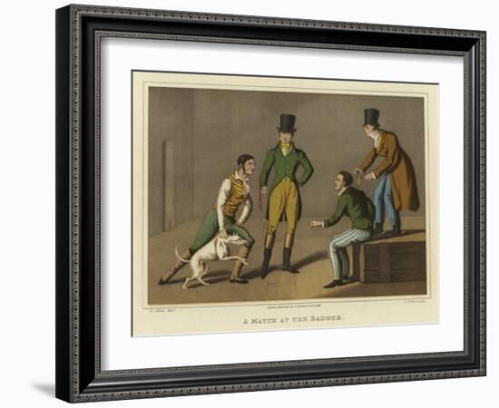 A Match at the Badger-Henry Thomas Alken-Framed Giclee Print