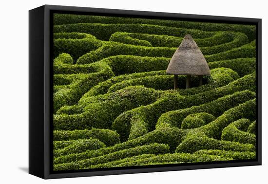 A Maze in Glendurgan Garden on the Lizard Peninsula in Cornwall, England, United Kingdom, Europe-Alex Treadway-Framed Premier Image Canvas