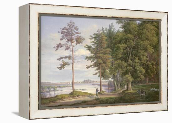 A Meadow in Hamburg-Joachim Faber-Framed Premier Image Canvas