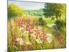 A Meadow In Spring-Mary Dipnall-Mounted Giclee Print
