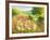 A Meadow In Spring-Mary Dipnall-Framed Giclee Print