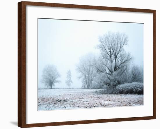 A Meadow in Winter-null-Framed Photographic Print