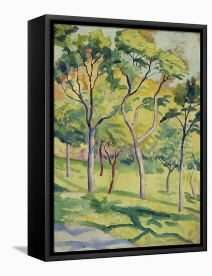 A Meadow with Trees, 1910-August Macke-Framed Premier Image Canvas