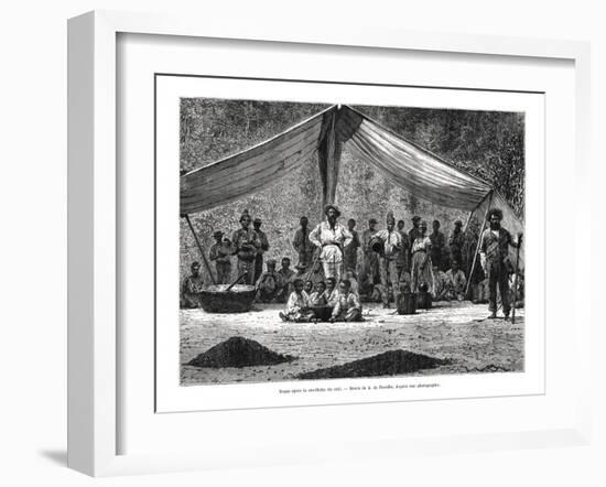A Meal after the Gathering of Coffee, Brazil, 19th Century-A de Neuville-Framed Giclee Print
