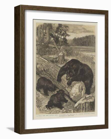 A Meal for the Little Ones, Searching for Beetles in a North American Forest-null-Framed Giclee Print