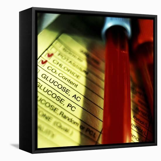 A Medical Test Checklist with Test Vials-null-Framed Premier Image Canvas