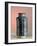 A medicine jar-Werner Forman-Framed Giclee Print