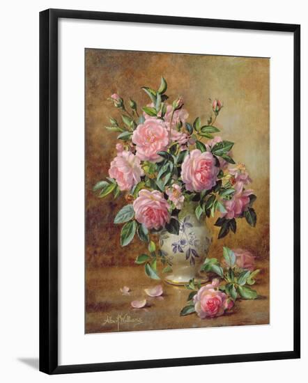 A Medley of Pink Roses-Albert Williams-Framed Giclee Print