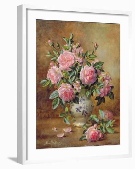 A Medley of Pink Roses-Albert Williams-Framed Giclee Print