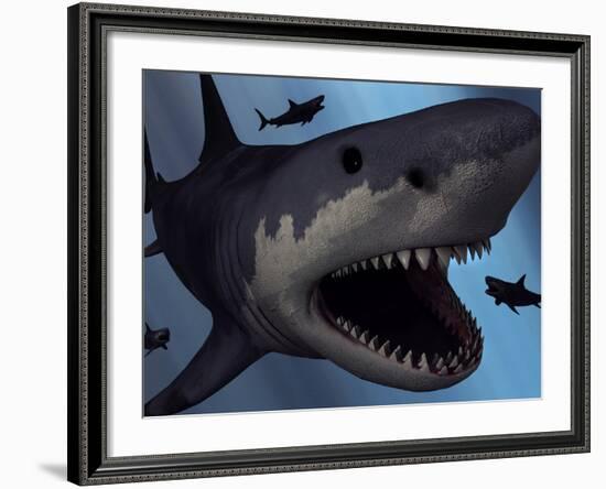 A Megalodon Shark from the Cenozoic Era-Stocktrek Images-Framed Photographic Print