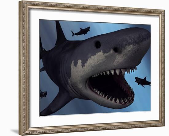 A Megalodon Shark from the Cenozoic Era-Stocktrek Images-Framed Photographic Print