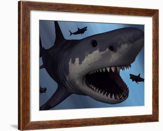 A Megalodon Shark from the Cenozoic Era-Stocktrek Images-Framed Photographic Print