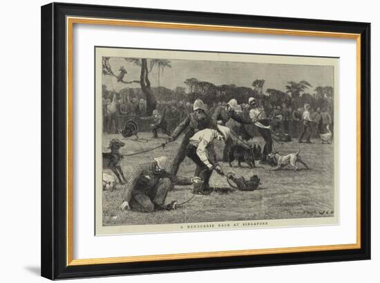 A Menagerie Race at Singapore-John Charles Dollman-Framed Giclee Print