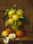 Still Life of Lemons and Oranges-A. Menasque-Mounted Giclee Print