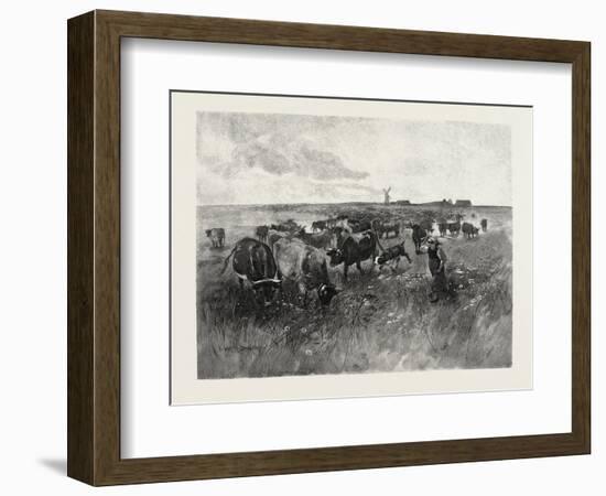 A Mennonite Girl Herding Cattle, Canada, Nineteenth Century-null-Framed Giclee Print