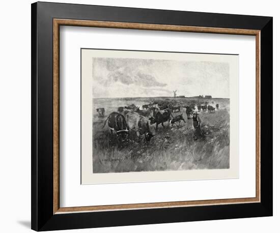 A Mennonite Girl Herding Cattle, Canada, Nineteenth Century-null-Framed Giclee Print