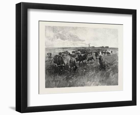 A Mennonite Girl Herding Cattle, Canada, Nineteenth Century-null-Framed Giclee Print