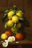 A Still Life of Lemons and Oranges-A Mensaque-Framed Premier Image Canvas