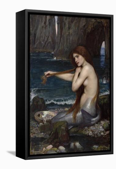 A Mermaid, 1900 (Oil on Canvas)-John William Waterhouse-Framed Premier Image Canvas