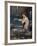 A Mermaid, 1900-John William Waterhouse-Framed Giclee Print