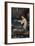 A Mermaid-John William Waterhouse-Framed Giclee Print