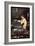 A Mermaid-John William Waterhouse-Framed Art Print