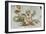 a Merman, Playing an Instrument-Abraham Ortelius-Framed Giclee Print